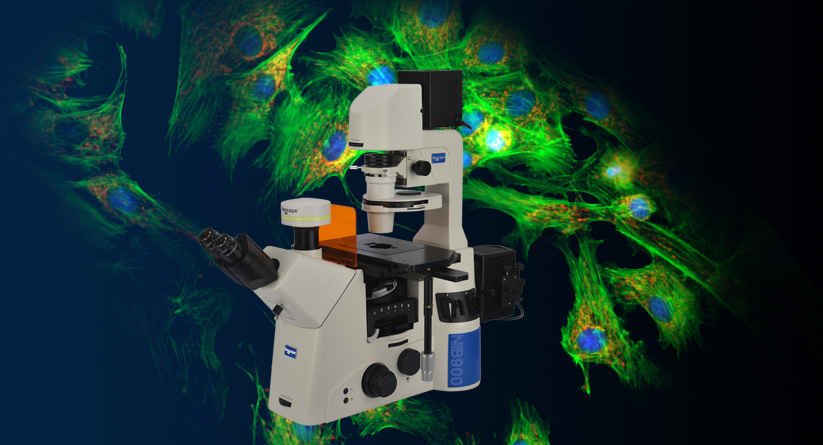 NIB900-FL研究级倒置荧光显微镜