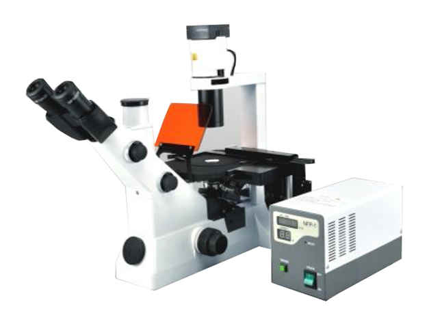 Meizs MS900F高级荧光显微镜