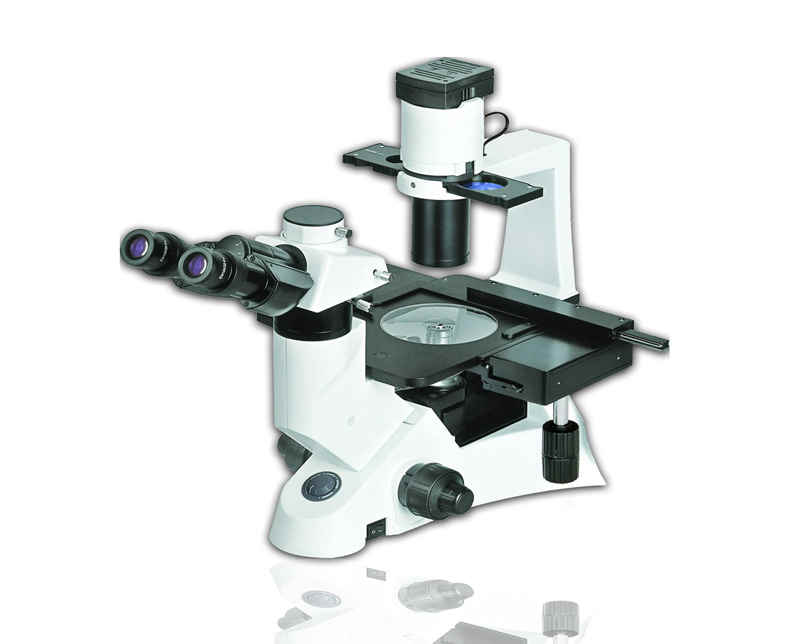 Meizs MS700F高级荧光显微镜